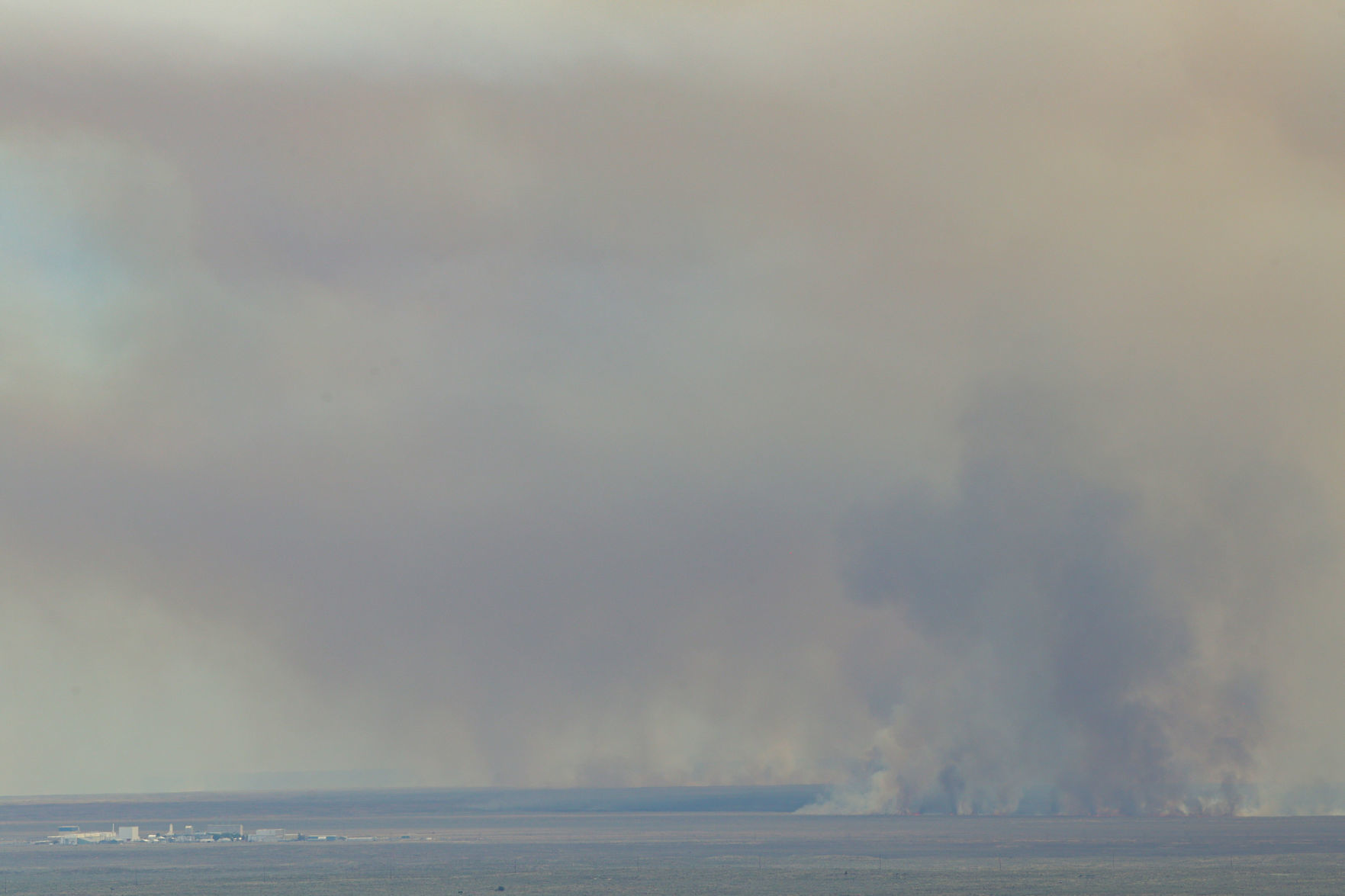 Sheep Fire